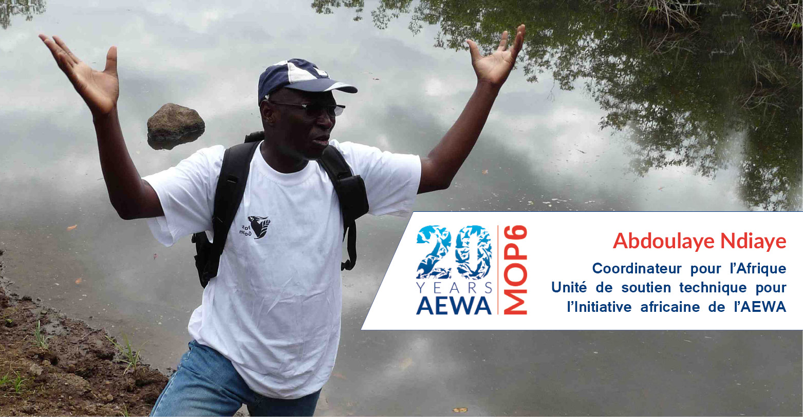 Abdoulaye Ndiaye, Coordinateur pour l’Afrique Unité de soutien technique pour l’Initiative africaine de l’AEWA