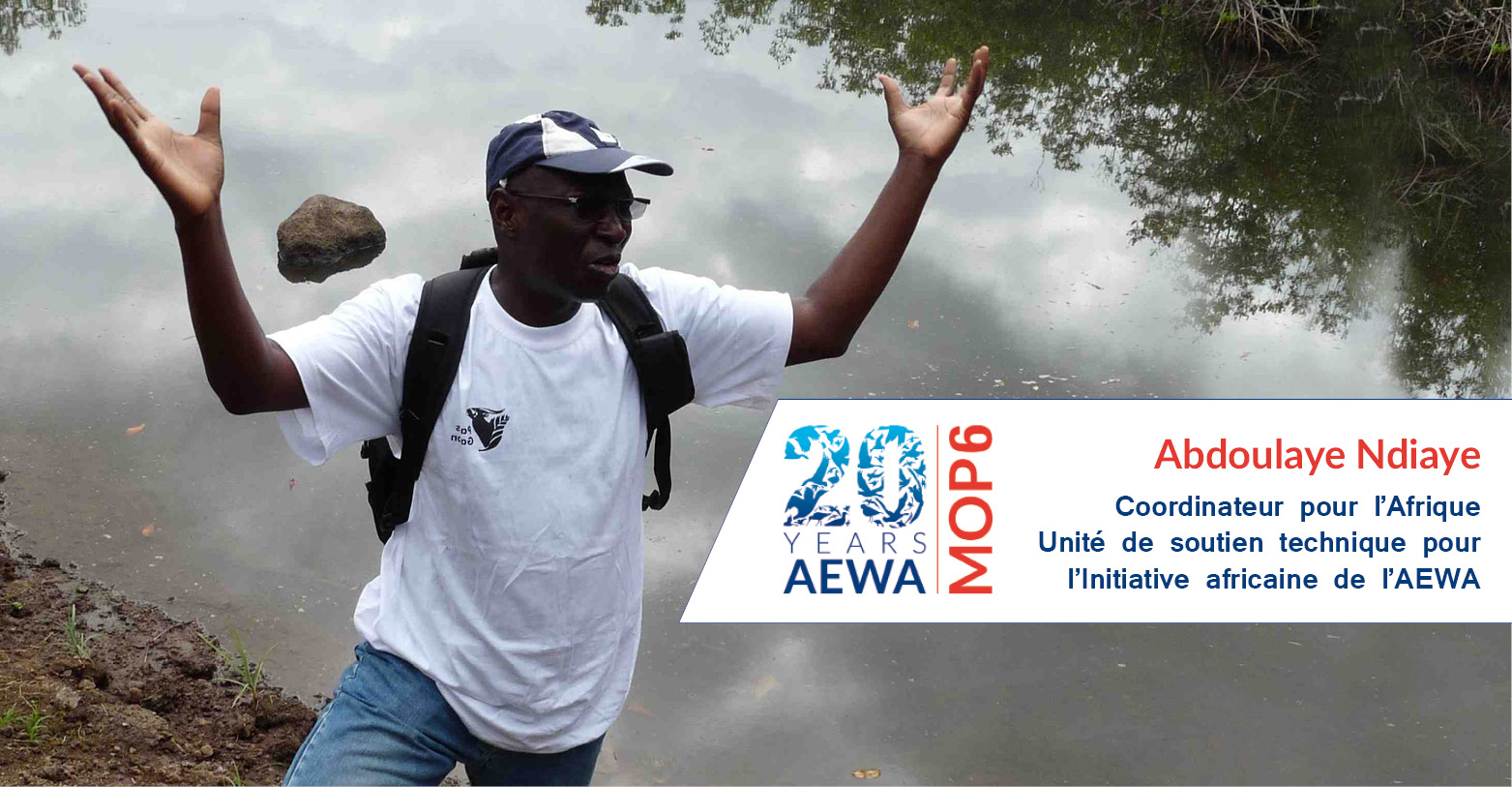 Abdoulaye Ndiaye, Coordinator for Africa, Technical Support Unit for the AEWA African Initiative