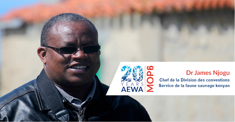 Dr James Njogu, Chef de la Division des conventions du Service de la faune sauvage kenyan (KWS) © IISD