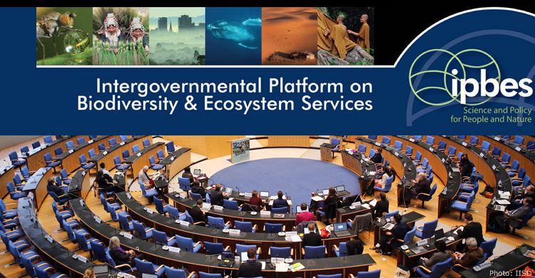 IPBES Plenary at the WCCB in Bonn | Photograph courtesy of IISD/Earth Negotiations Bulletin
