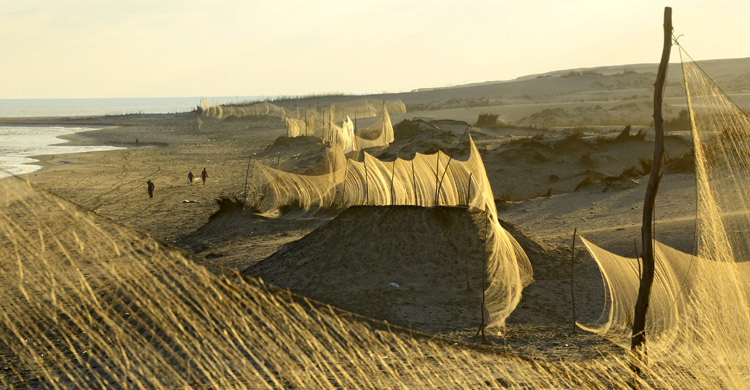 Bird nets along the Egyptian coast © Holger Schulz