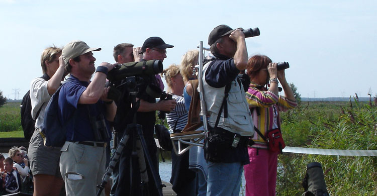 Birdwatching Tourism © Sergey Dereliev, www.dereliev-photography.com
