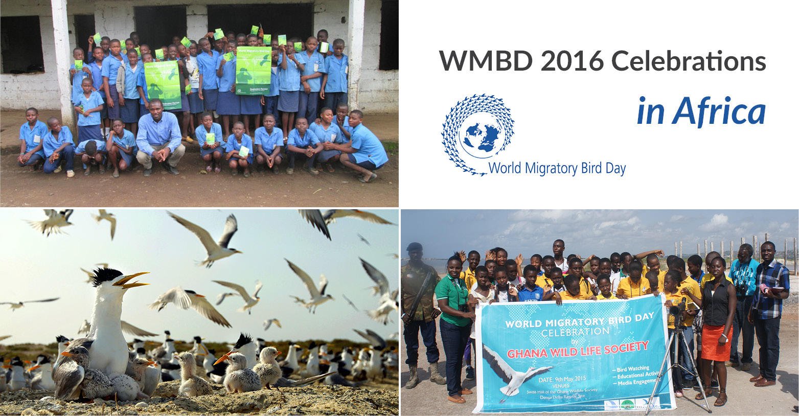 WMBD 2016 celebrations in Africa