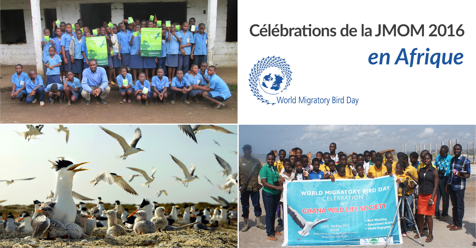 Célébrations de la JMOM 2016 en Afrique