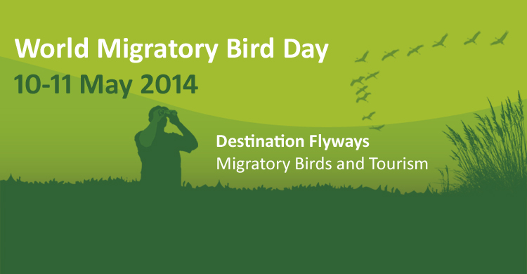 World Migratory Bird Day Poster 2014