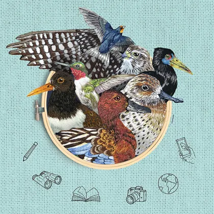 Every Bird Counts: World Migratory Bird Day 2026 Highlights How Every Observation Matters