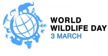Wolrd Wildlife Day Logo