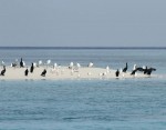 Photo prise sur l’île d’Ashrafi © Ahmed Waheed