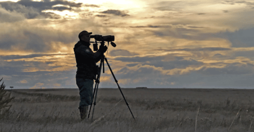 “Expedition member Jànos Tar from the Hortobágy National Park Directorate in Hungary carrying out a morning count. © Attila Szilágyi, Hortobágy National Park Directorate