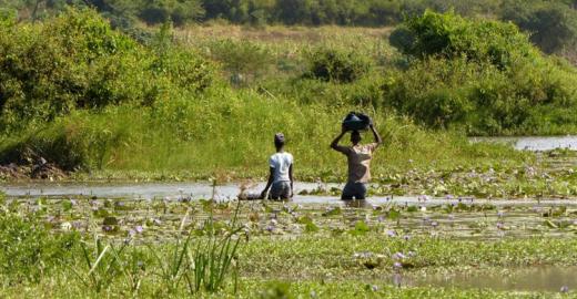 African wetland scene © Jacques Trouvilliez