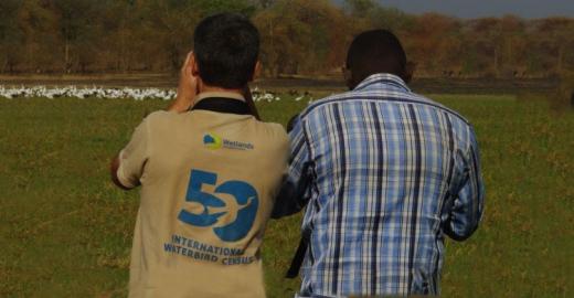 Bird watchers during the International Waterbird Census © ONCFS 2017