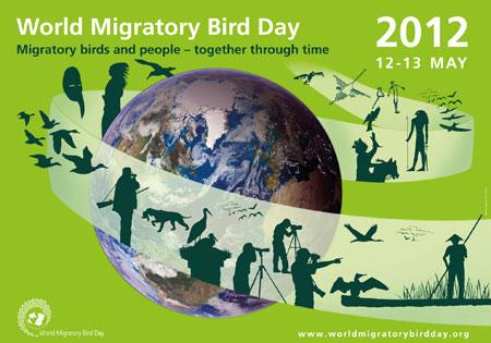 WMBD Poster 2012