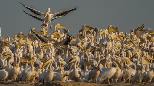 © Sergey Dereliev, www.dereliev-photography.com 