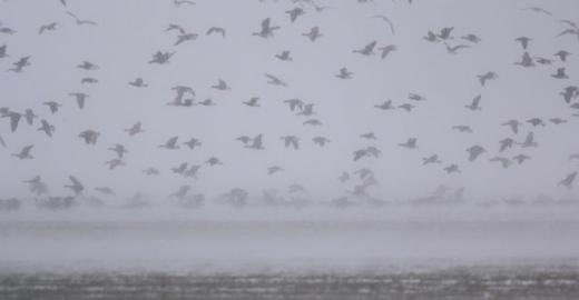 Winter conditions in Bulgaria © N . Petkov