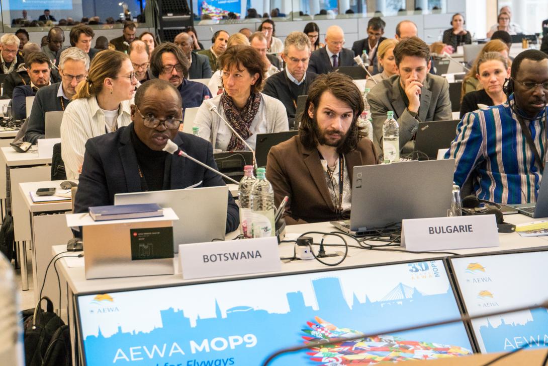 AEWA MOP9 © Aydin Bahramlouian