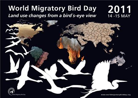 WMBD Poster 2011