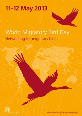WMBD Poster 2013