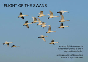 Fligh of the Swans Project