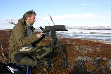 Ingar Jostein Øien from BirdLife Norway monitoring the geese at Porsanger Fjord © Tomas Aarvak