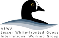 LWfG IWG logo