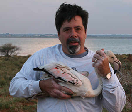 Mark Anderson