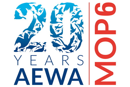 20th anniversary/MOP6 logo