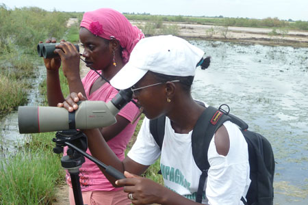 Bird monitoring session © DPN Senegal