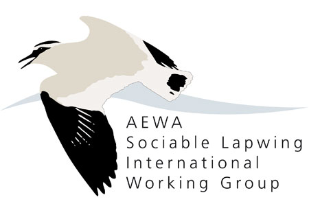 SLIWG logo