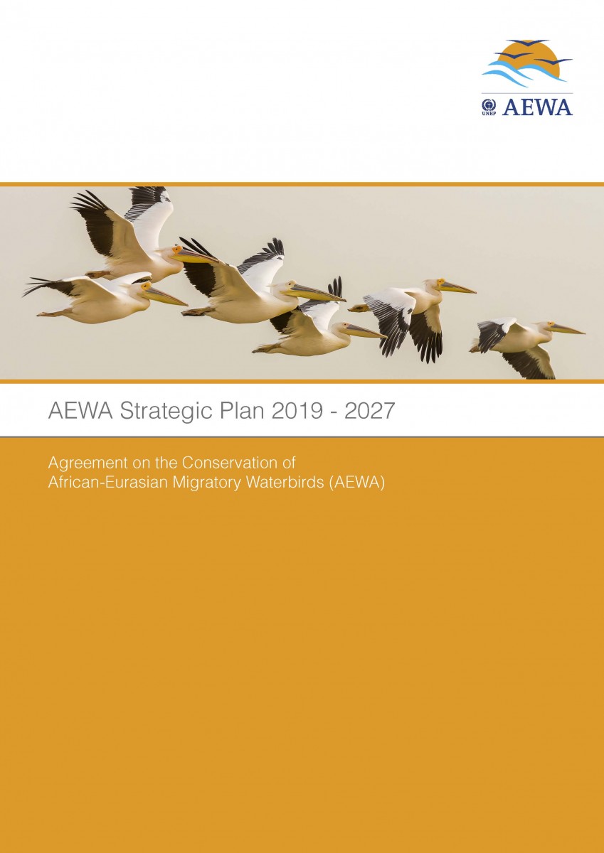 AEWA Strategic Plan 2019 - 2027