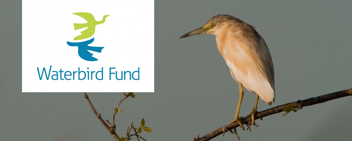 Waterbird fund logo