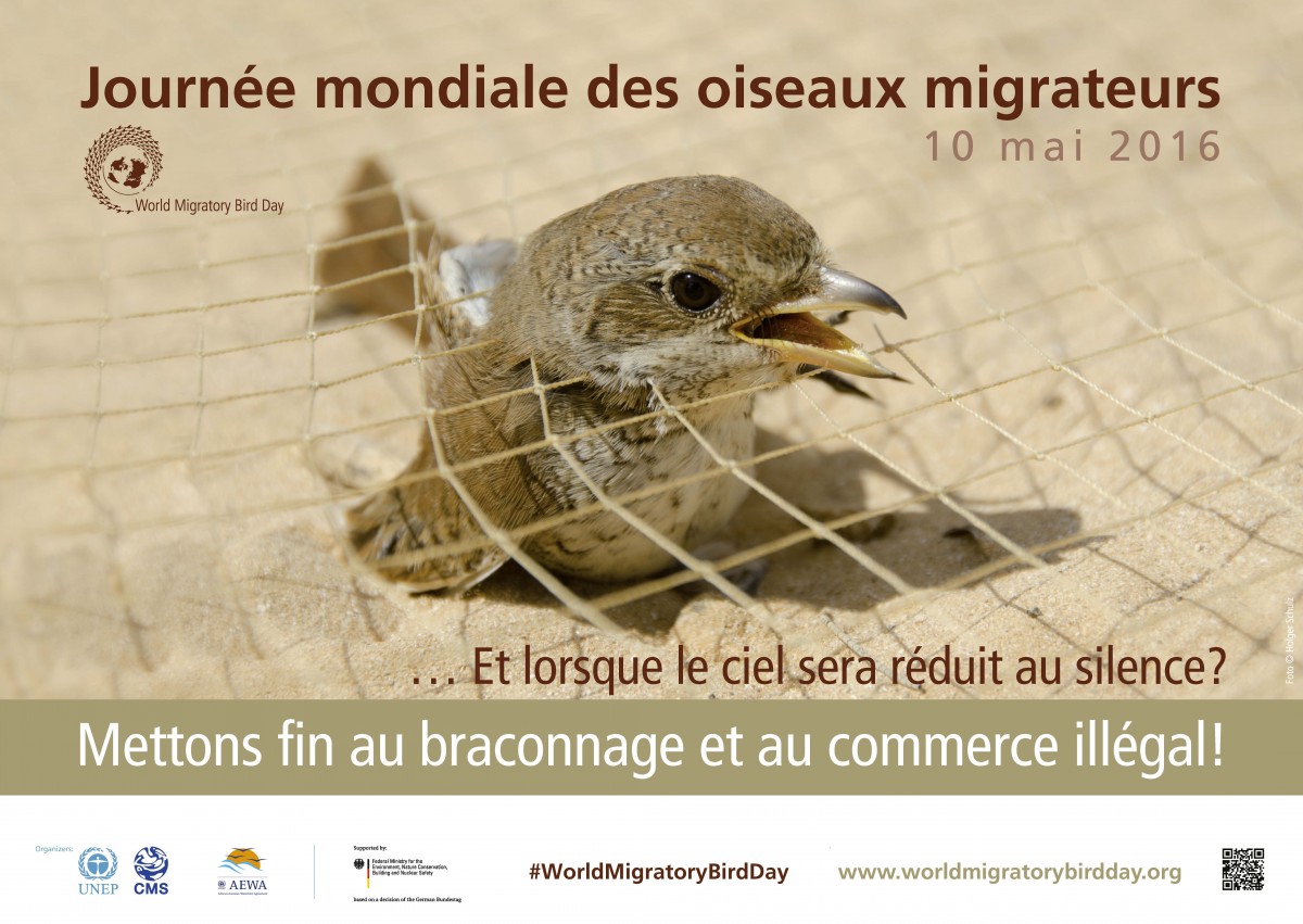 L'affiche de la JMOM 2016